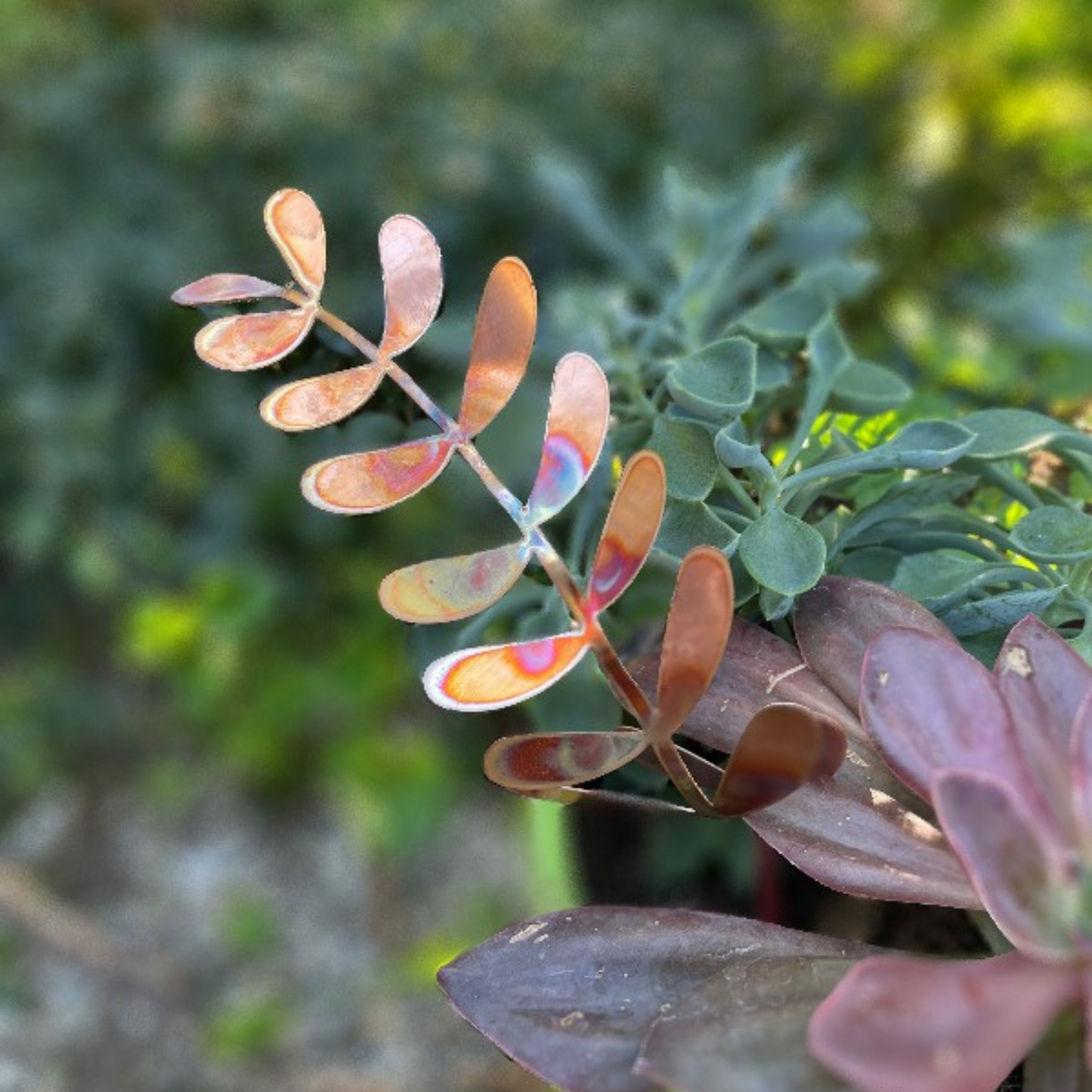 New lower price - Large Copper Fern Frond