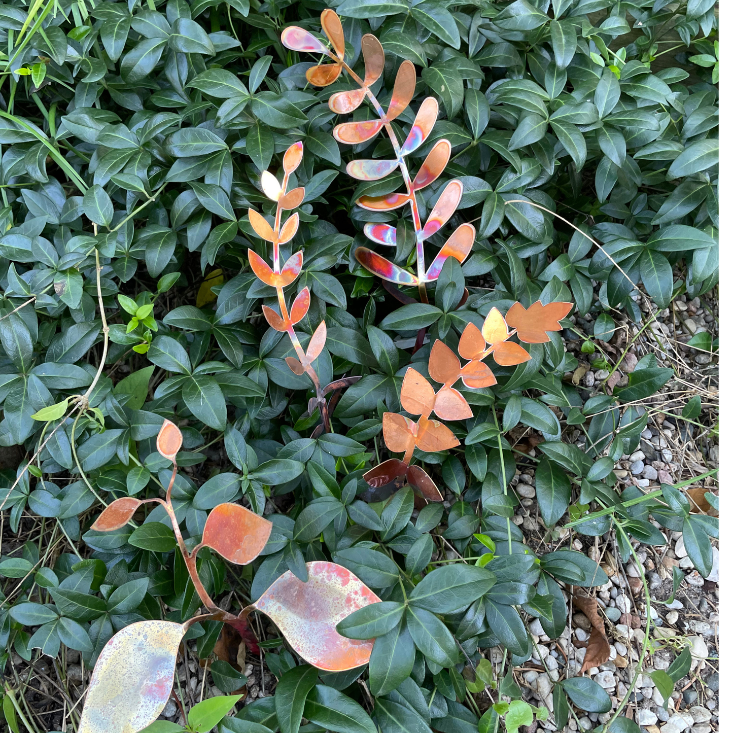 New lower price - Large Copper Fern Frond