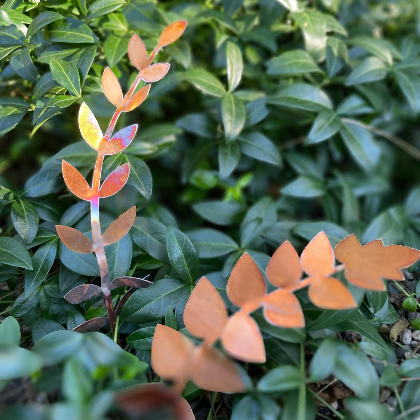 New Lower Price - Medium Copper Fern Frond (teardrop)