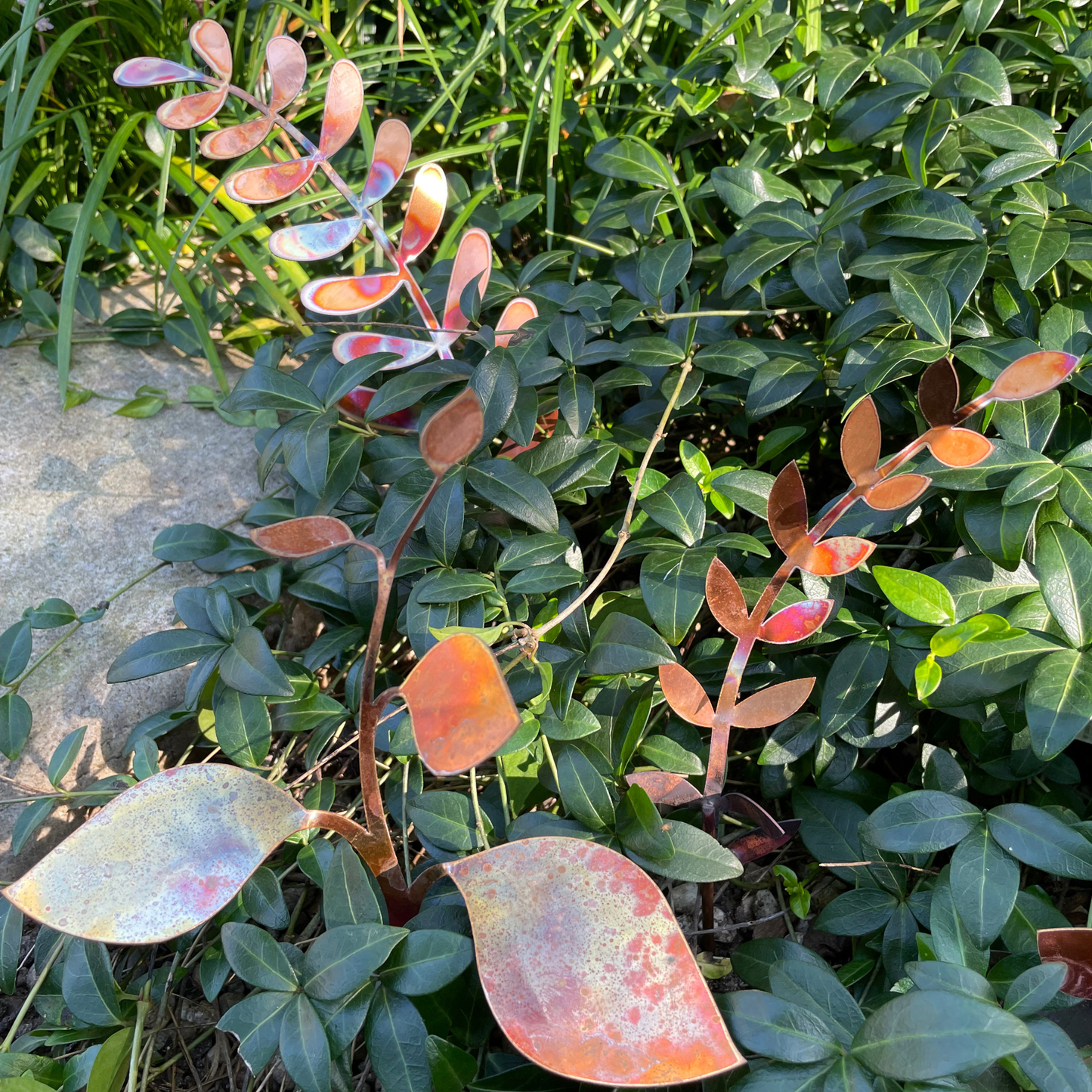 New lower price - Copper Leaves