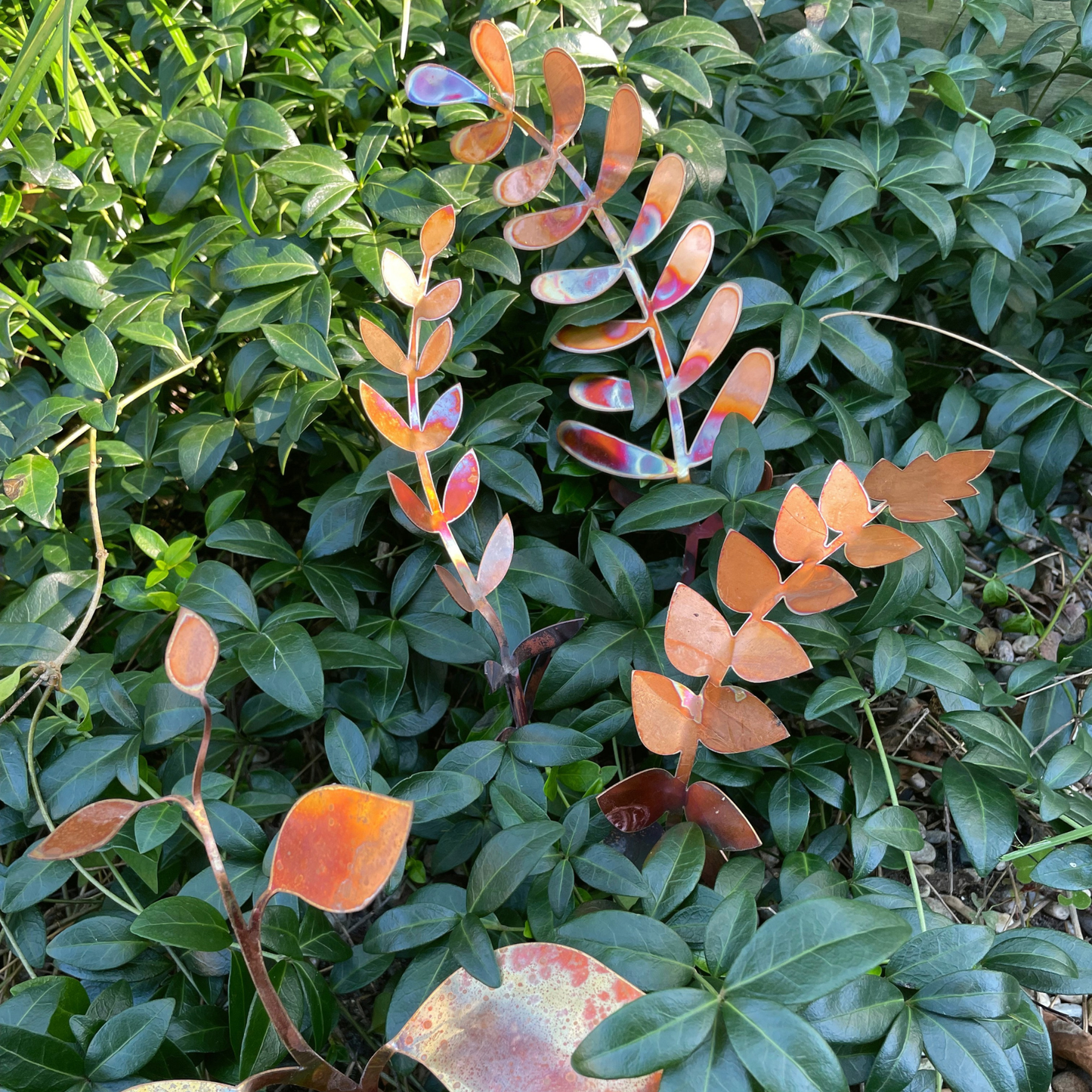 New Lower Price - Medium Copper Fern Frond (teardrop)
