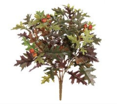 Oak Leaf Bush with Acorns