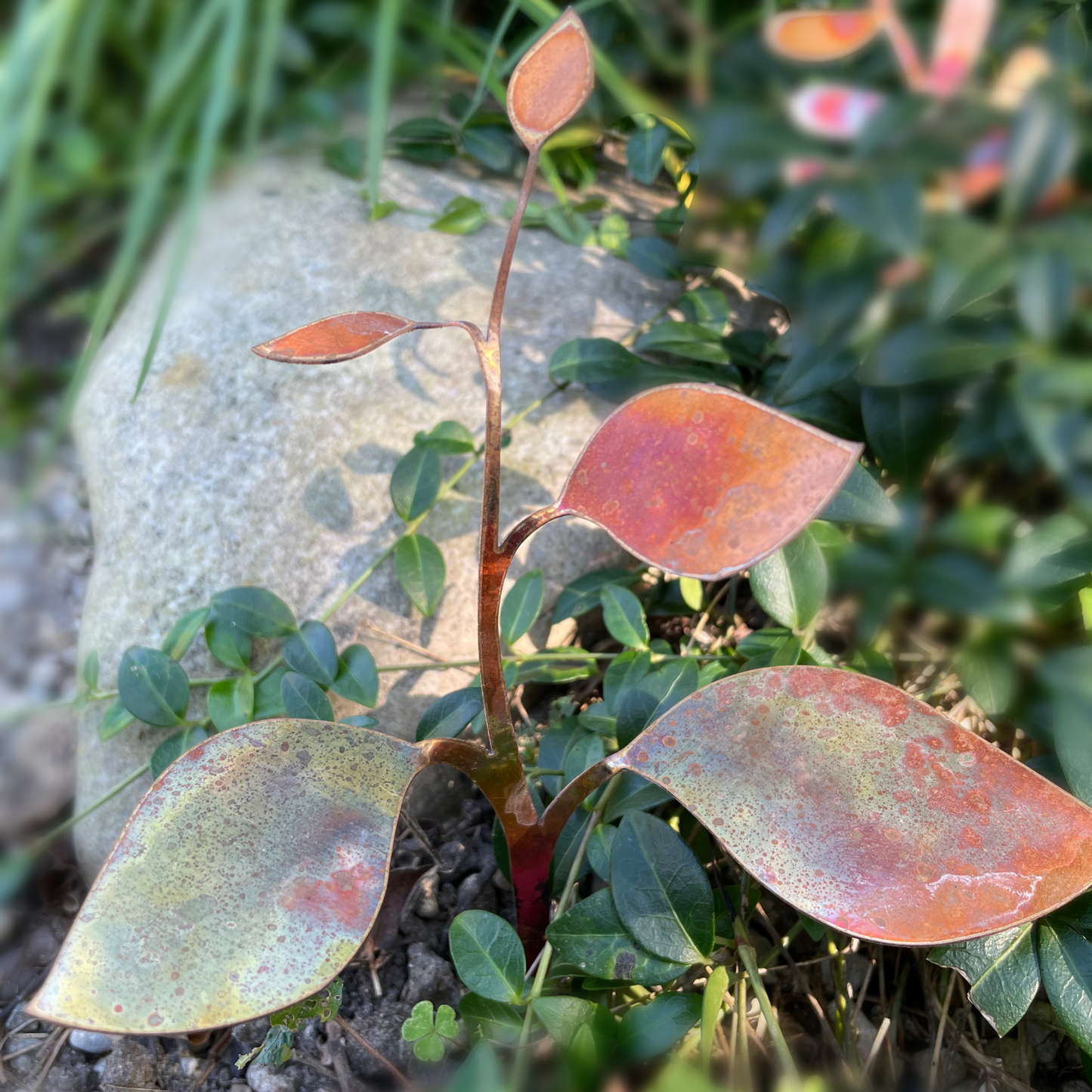 New lower price - Copper Leaves