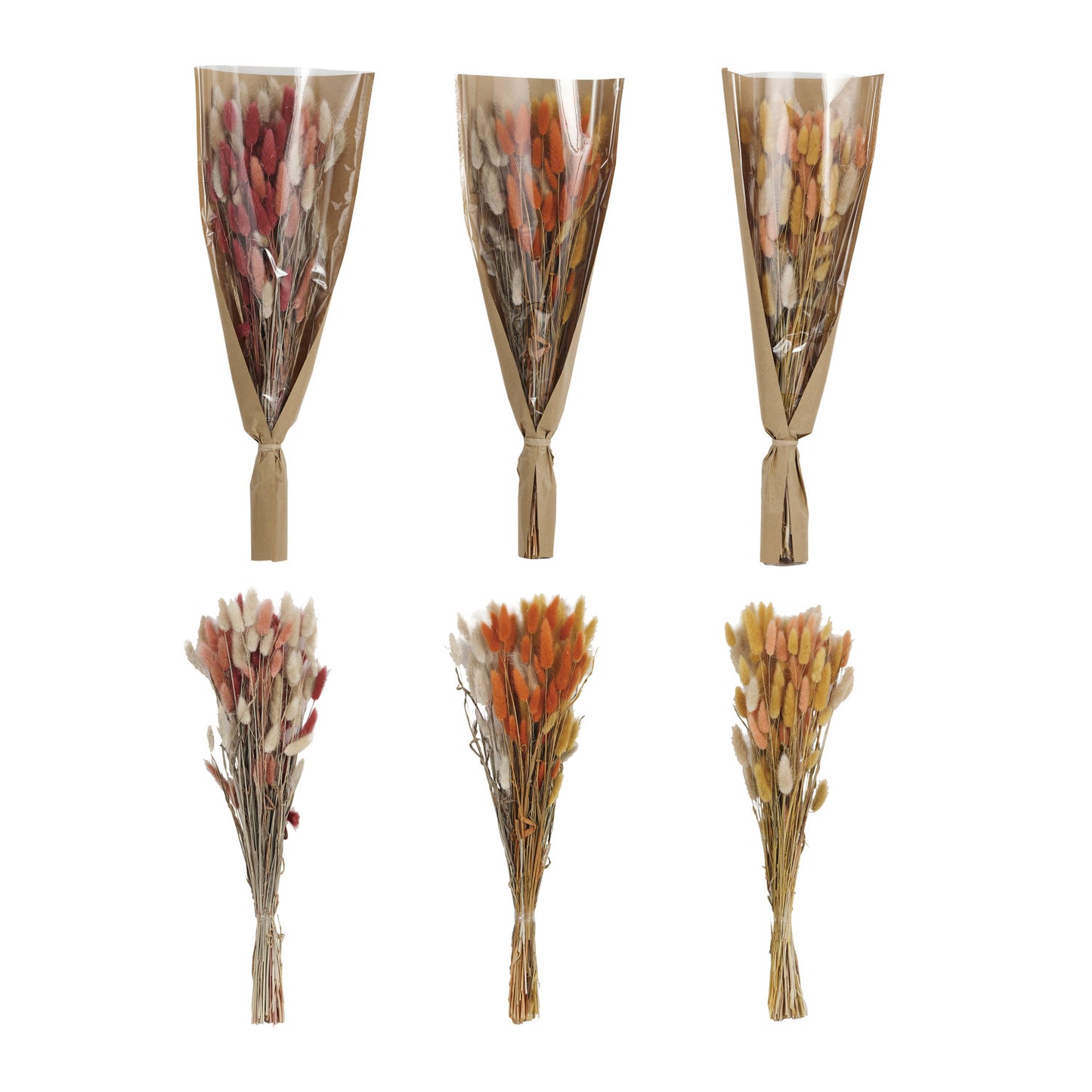Dried Natural Bunny Tail Bunch, 3 Colors