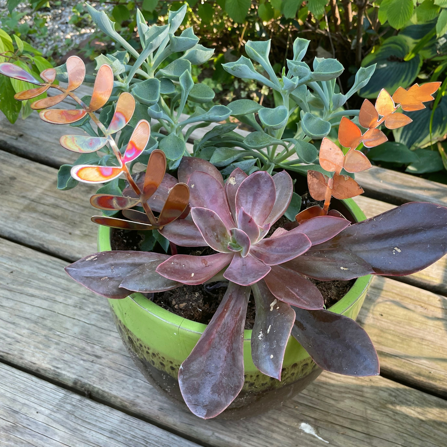 New Lower Price - Medium Copper Fern Frond (teardrop)