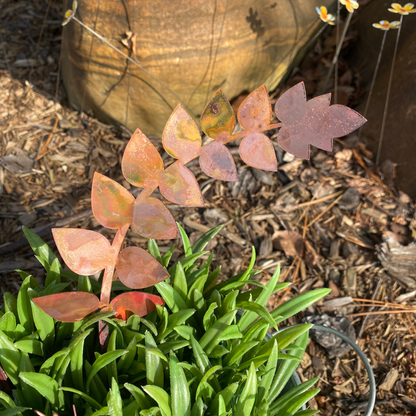New Lower Price - Medium Copper Fern Frond (teardrop)