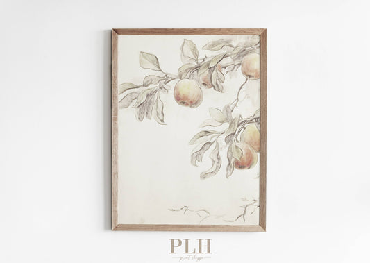 Premium Peach Art Print 8x10