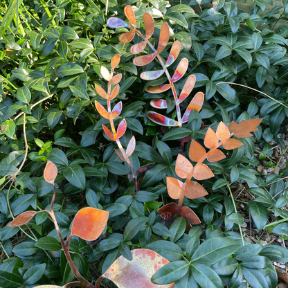 New lower price - Large Copper Fern Frond