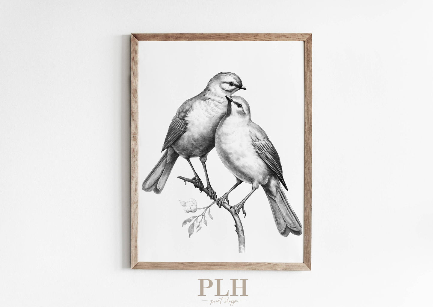 Spring Bird Sketch Premium Quality Art Print 8x10