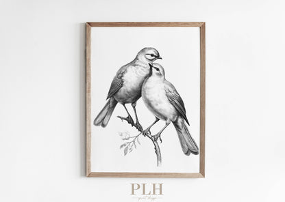 Spring Bird Sketch Premium Quality Art Print 8x10