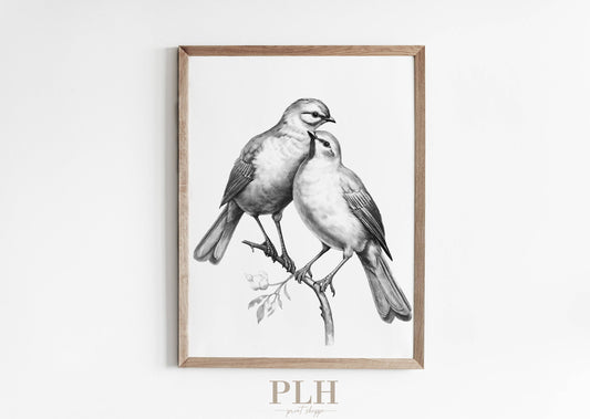 Spring Bird Sketch Premium Quality Art Print 8x10