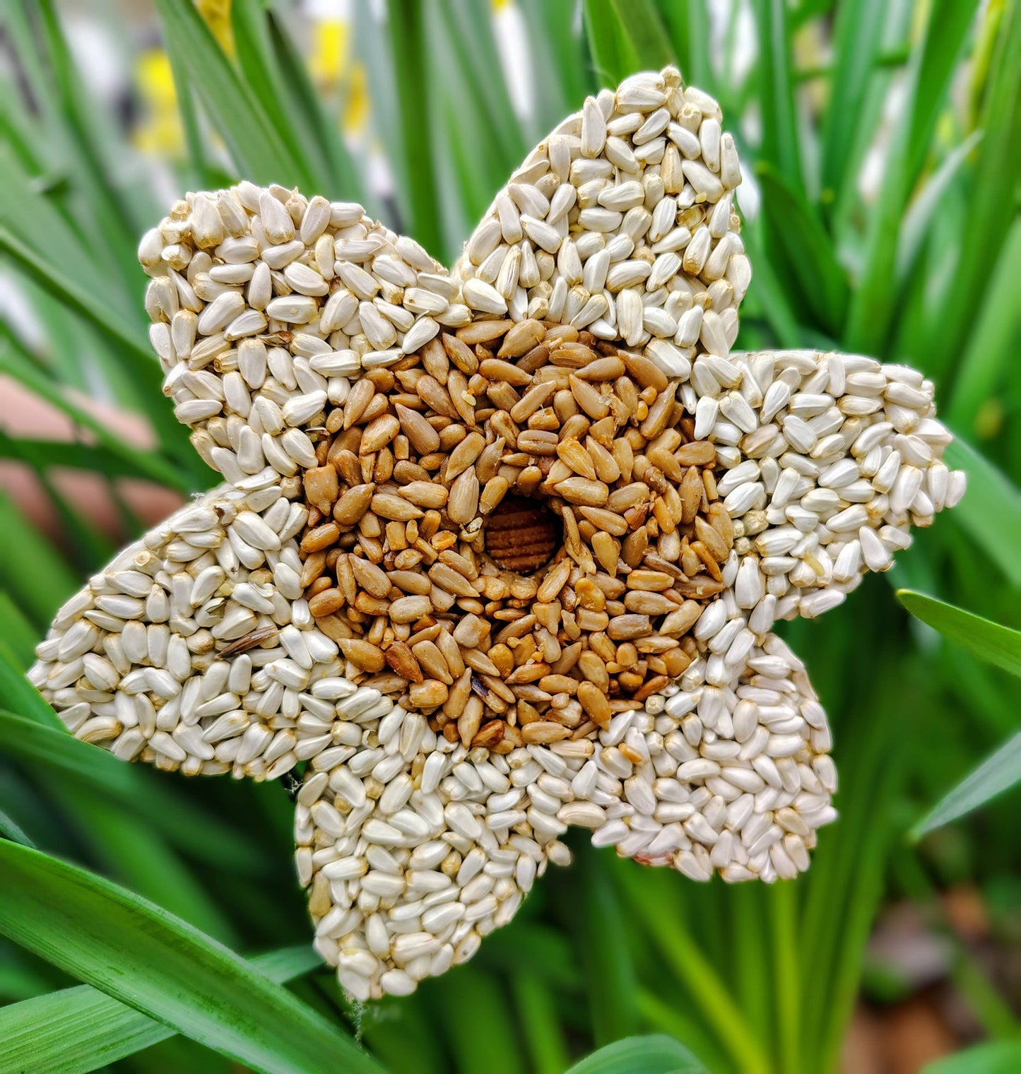 Stackable Birdseed Flower Patty