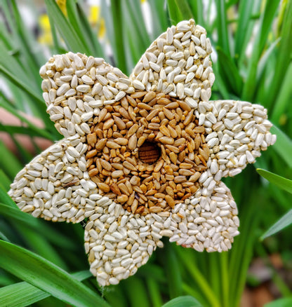 Stackable Birdseed Flower Patty
