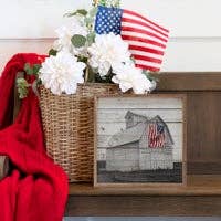 Black And White Flag Barn