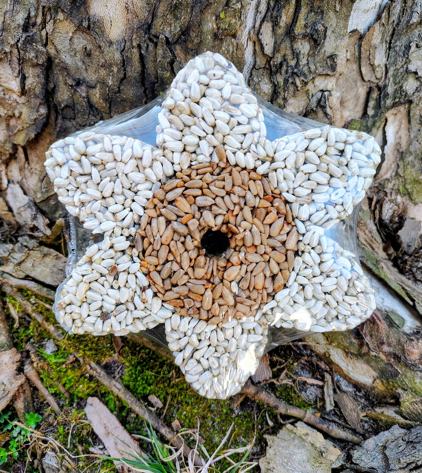 Stackable Birdseed Flower Patty