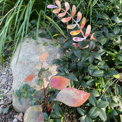 New lower price - Copper Leaves