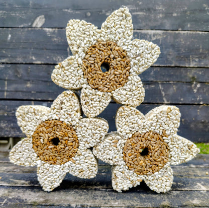 Stackable Birdseed Flower Patty
