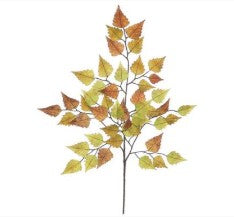 Birch Leaf Branch