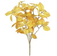 Elm Leaf Spray
