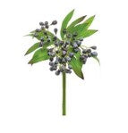 Crater Berry Bundle Currant