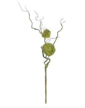 Twig Vine with 2 Bird's Nests