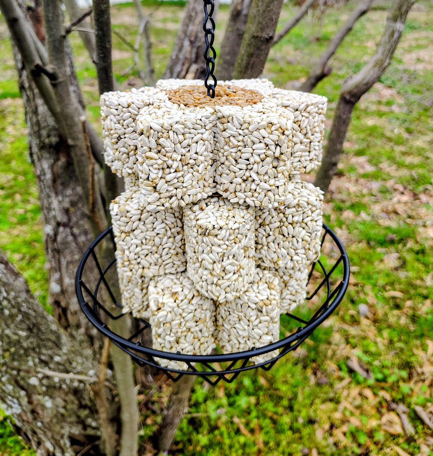 Stackable Birdseed Flower Patty