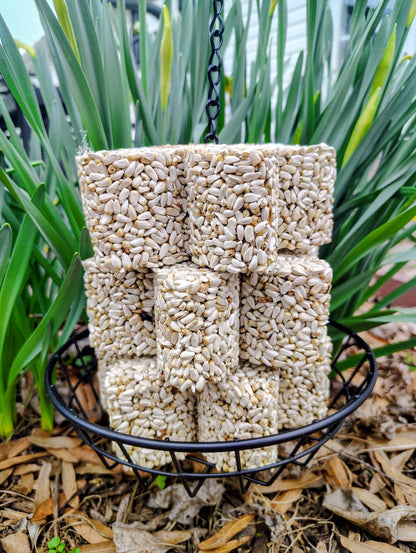 Stackable Birdseed Flower Patty