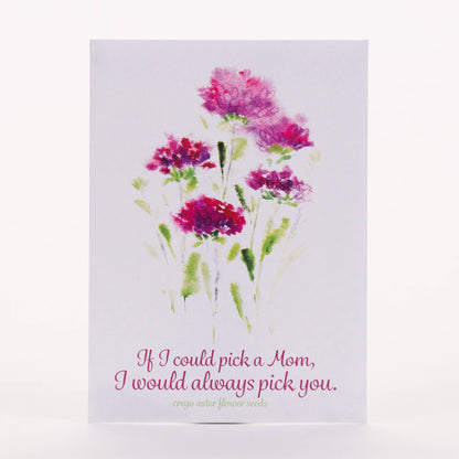 Always Pick You Mom - Aster Seed Packets