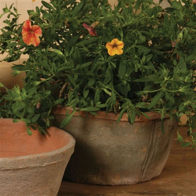 Rustic Terra Cotta Oval Pot - Lrg - Antique Red