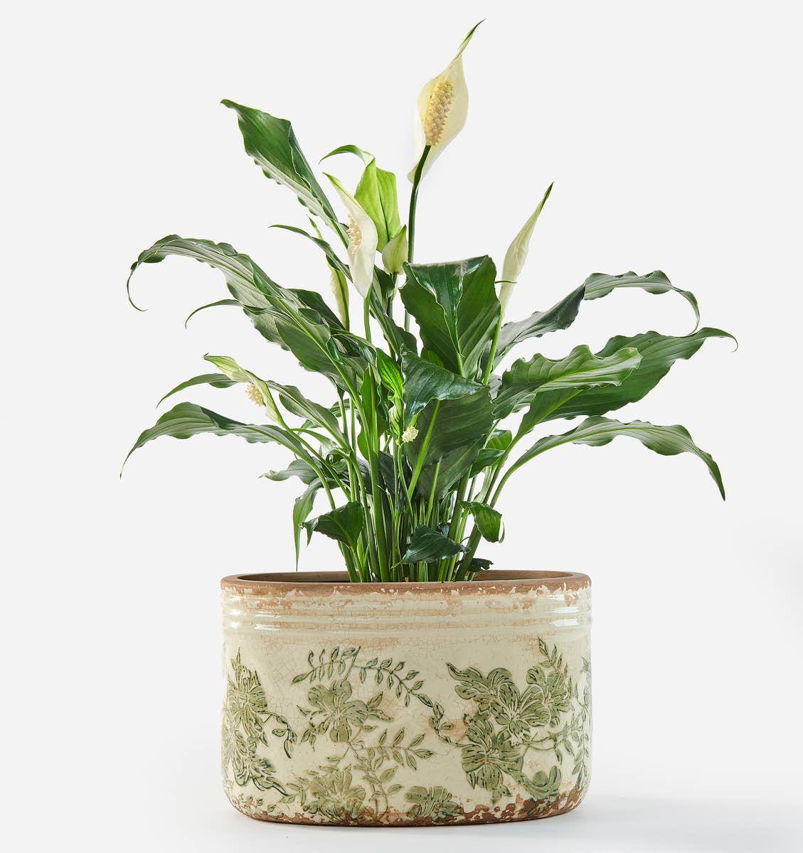 Stoneware Oval Botanical Planter