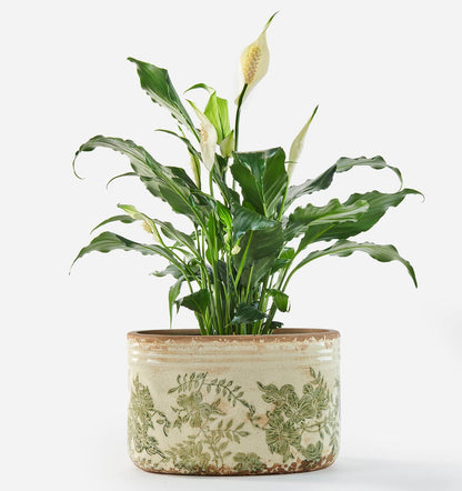 Stoneware Oval Botanical Planter