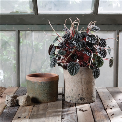 Rustic Terra Cotta Cylinder - Lrg - Antique Red