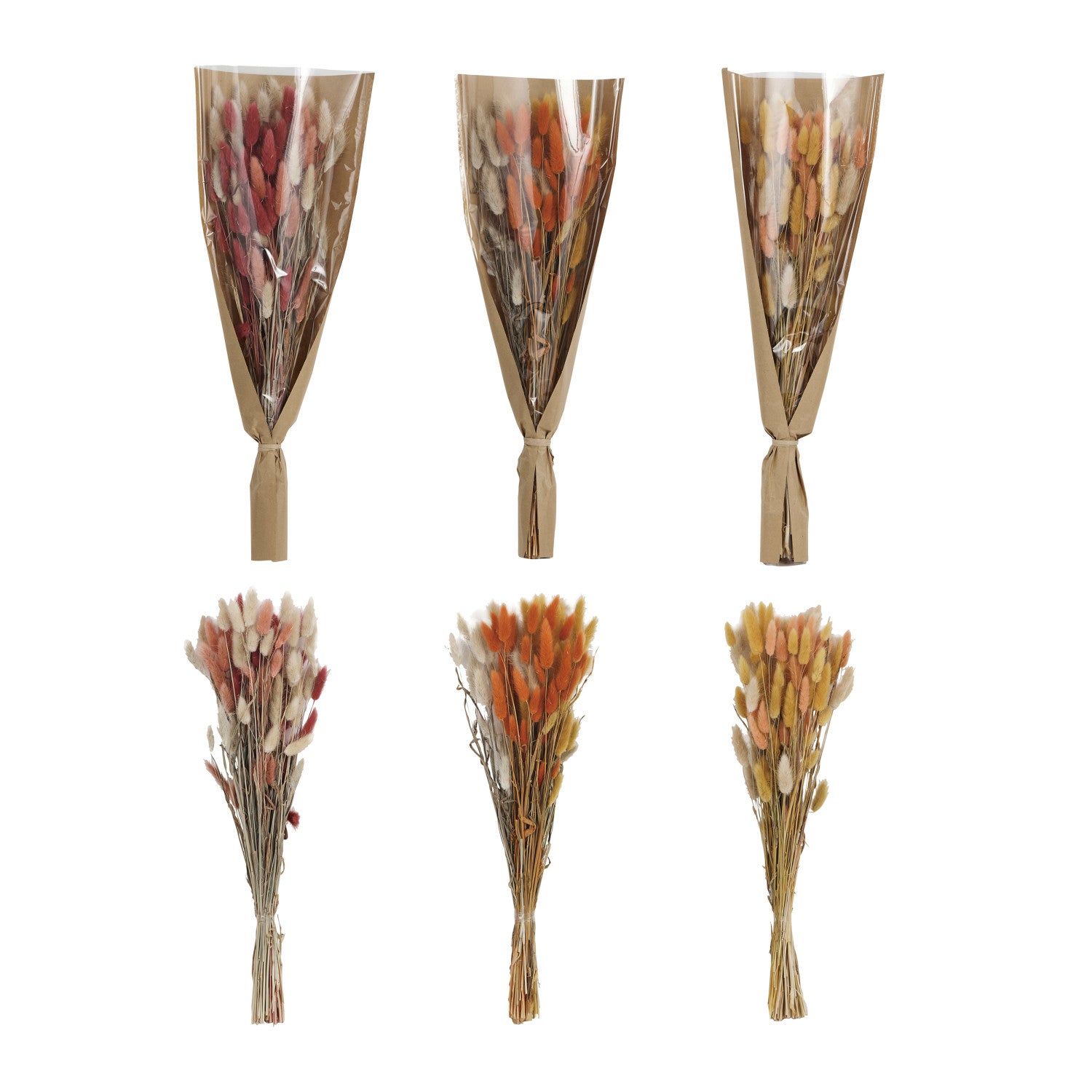 Dried Natural Bunny Tail Bunch, 3 Colors