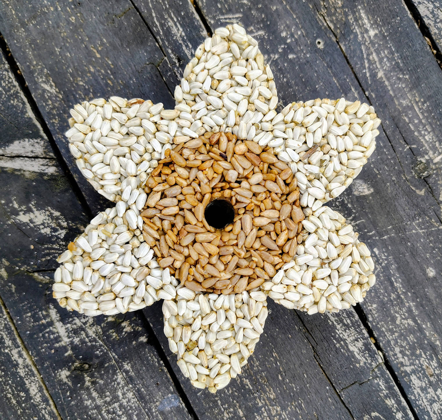 Stackable Birdseed Flower Patty