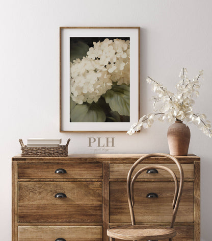 Hydrangea Premium Quality Art Print 5x7