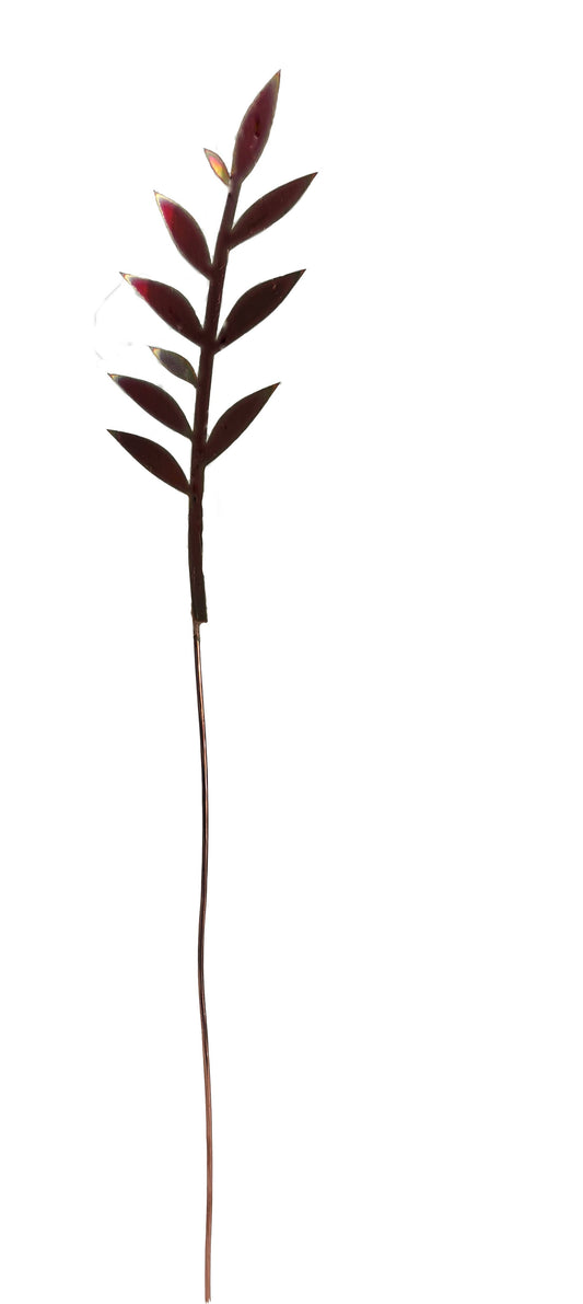 Copper Leaf Branch- natural